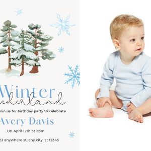 Winter Onederland Theme Birthday